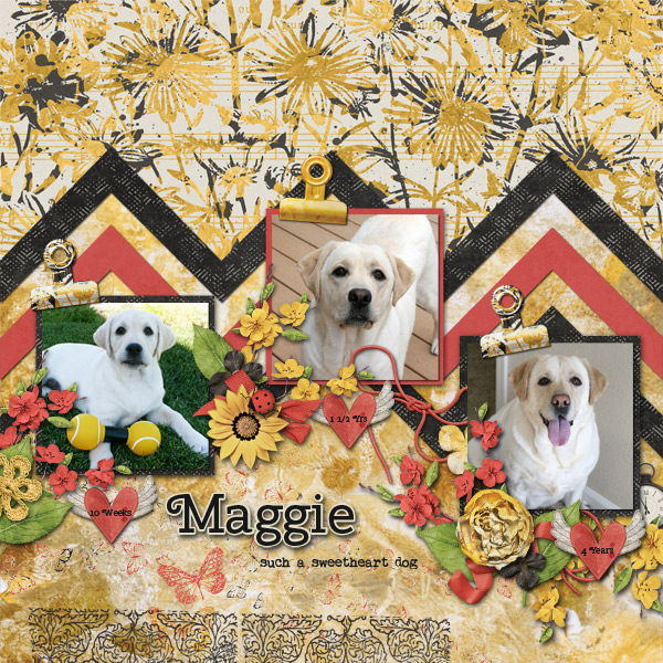 Maggie Sweetheart Dog