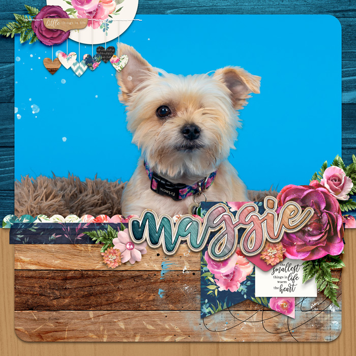 Maggie
