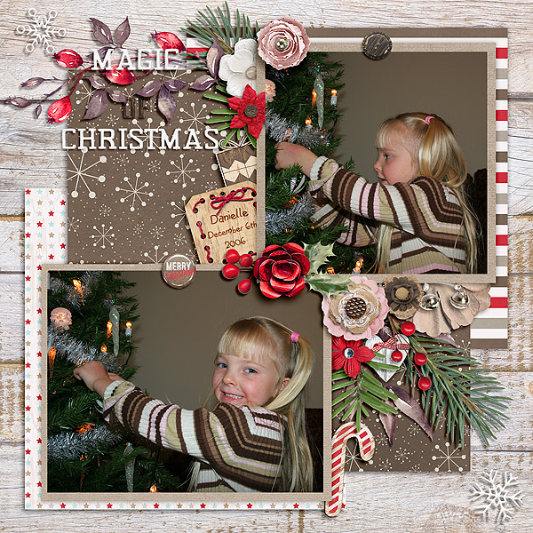 Magic of Christmas