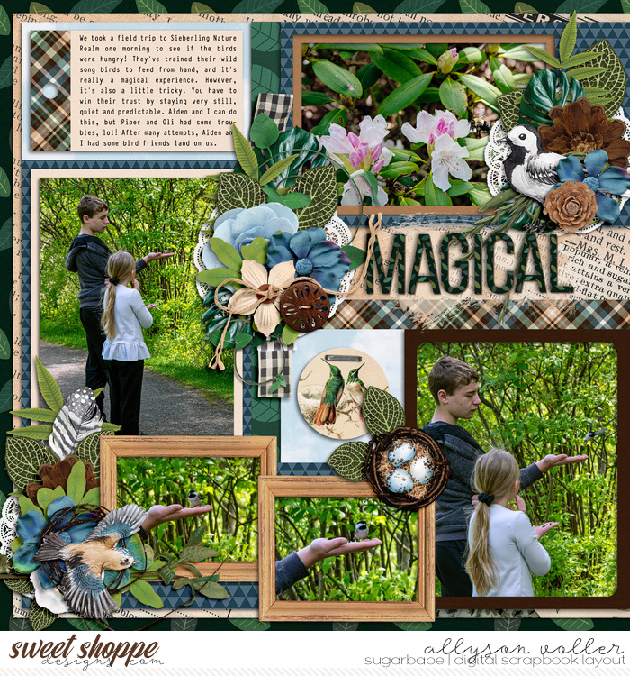 Magical birds 01