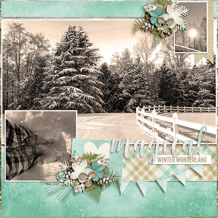 Magical Winter Wonderland
