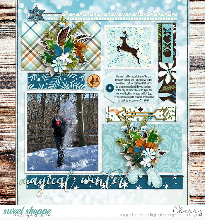 Magical Winter
