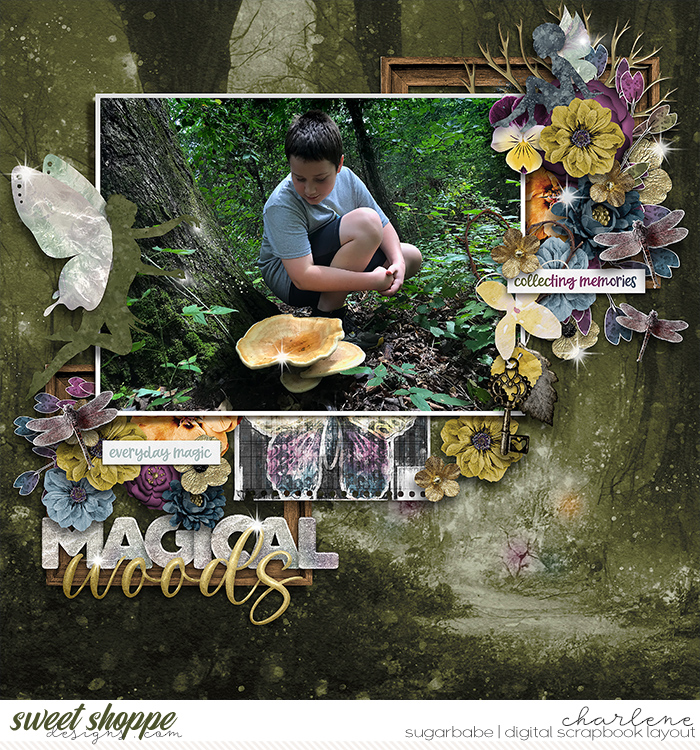 Magical Woods