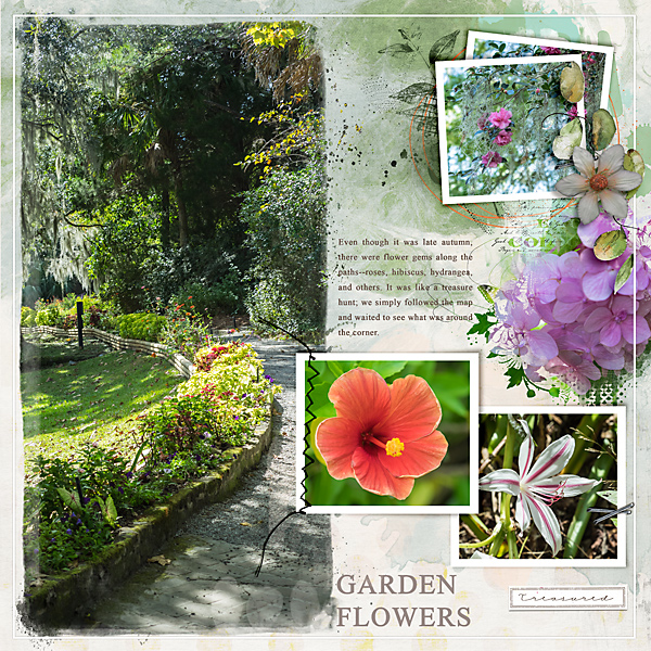 Magnolia Garden Flowers