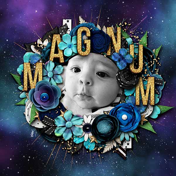 Magnum