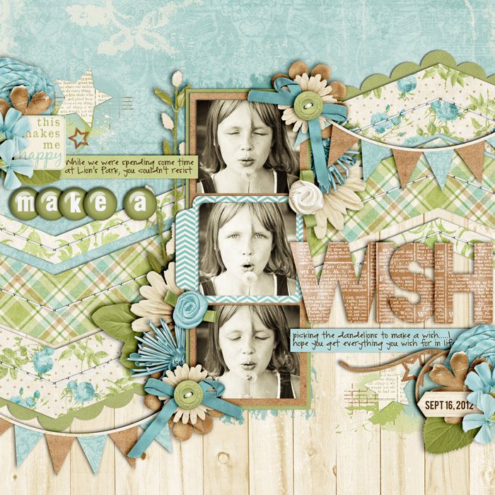 make-a-wishweb