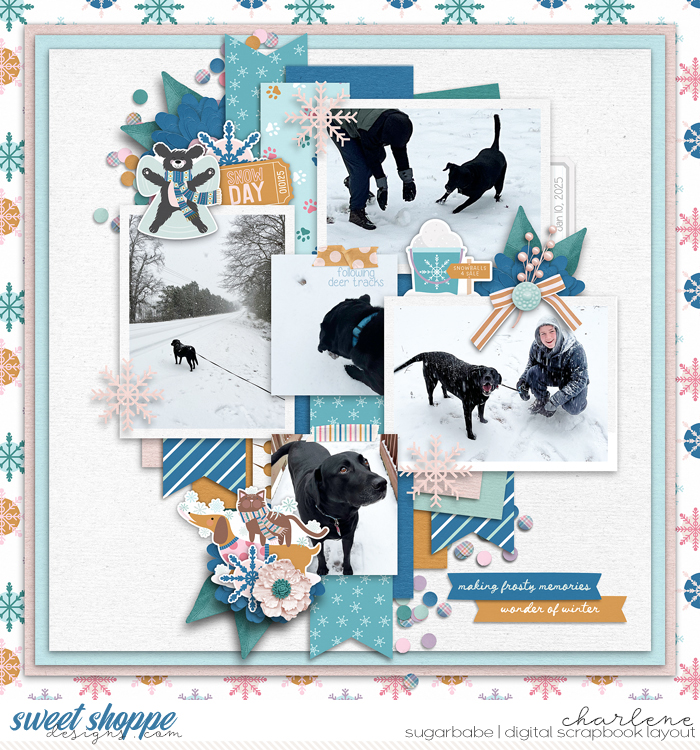 Making Frosty Memories