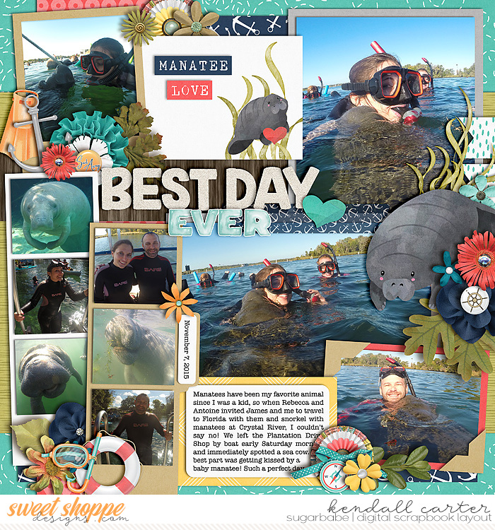 Manatee Love