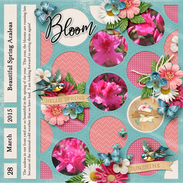 March 1 Pocket Scrap