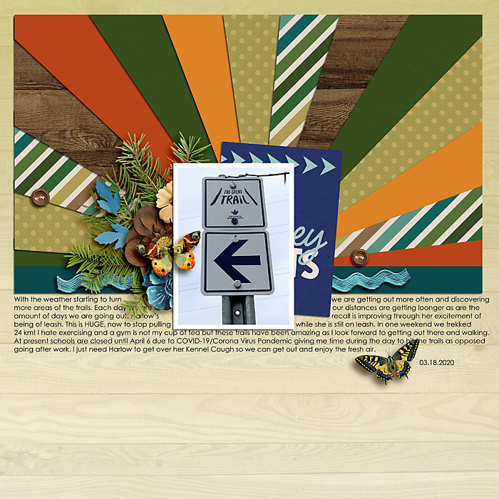 March 2020 Passport to Discovery: 13 Journal
