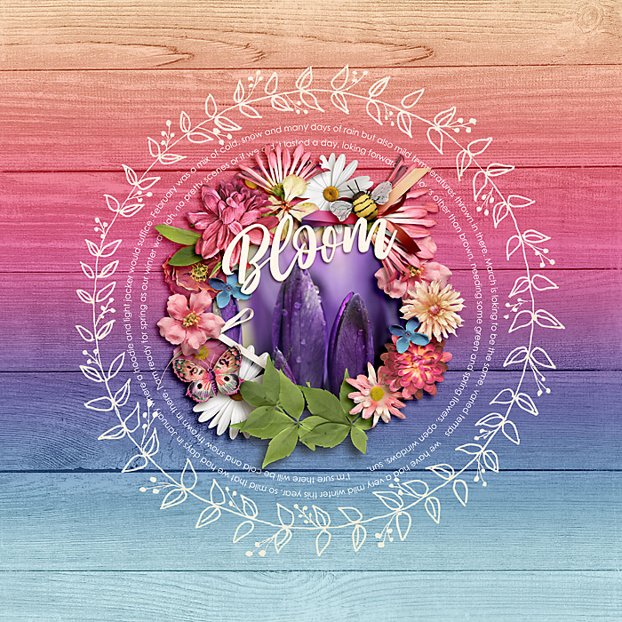 March 2020 Passport to Discovery: 17 Details: Shape