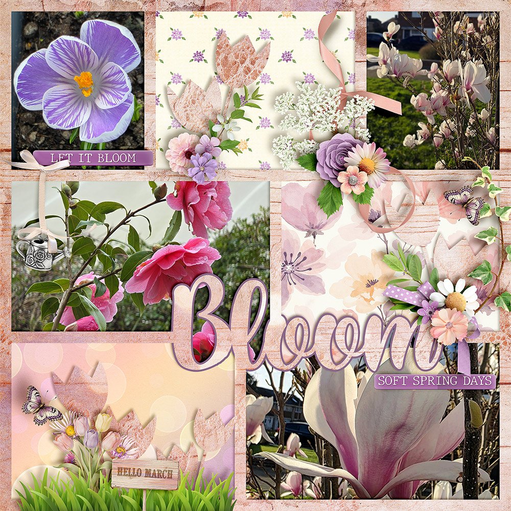 March Blooms