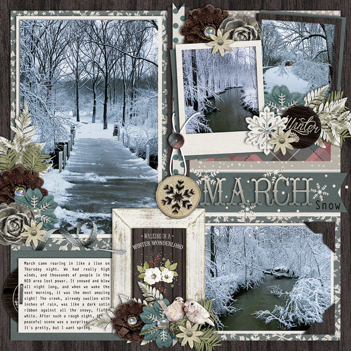 March Snow Tranquil