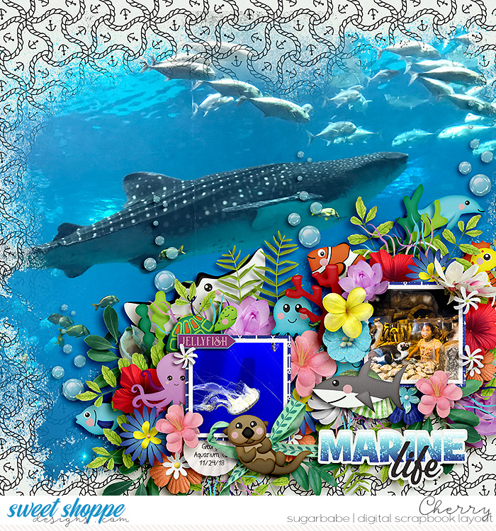 Marine Life