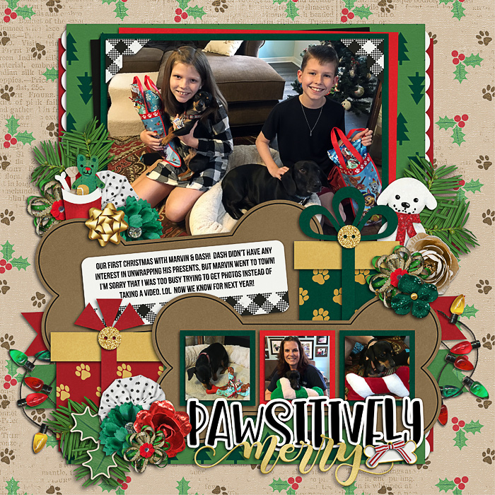Marvin & Dash Christmas