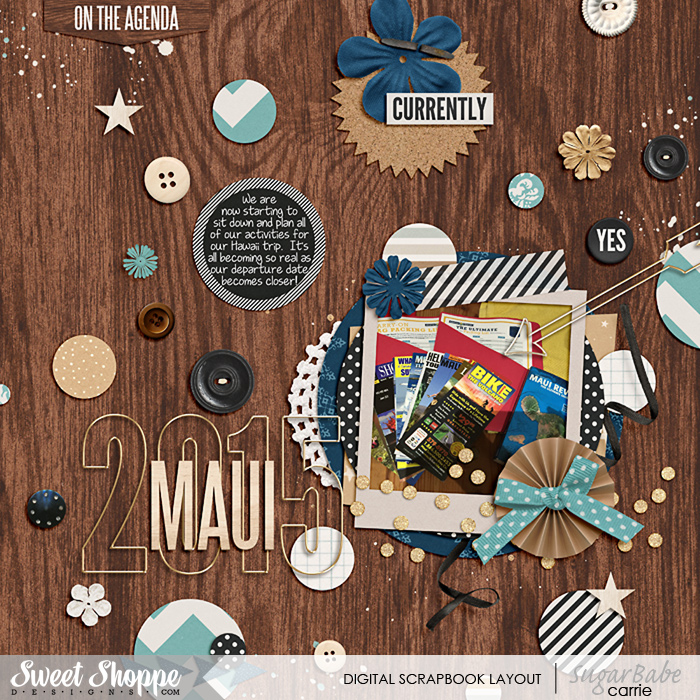 Maui 2015 Planning