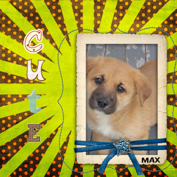 Max