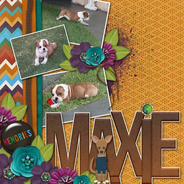 Maxie