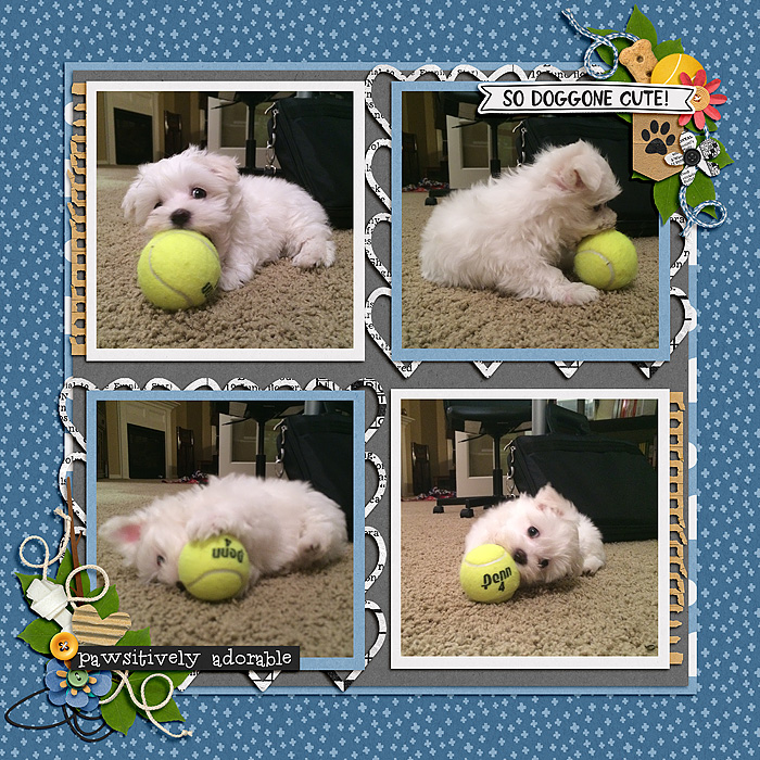 Max's Ball