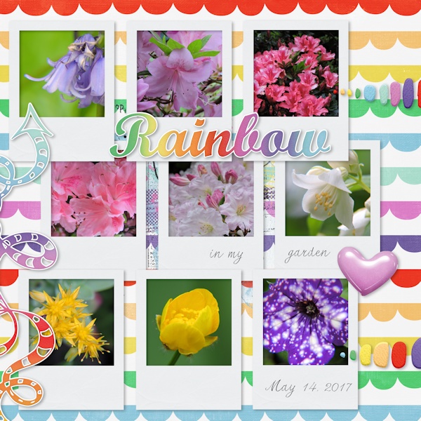 May Bingo 13 - in the garden