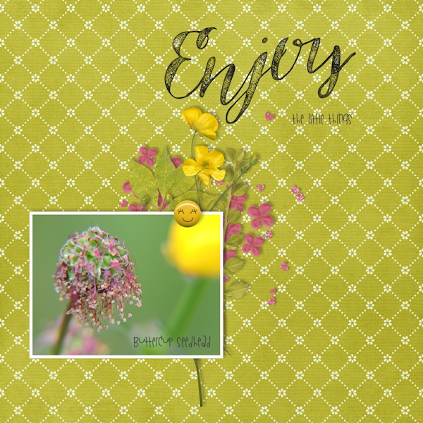 May Bingo 3 - colour: green and pink