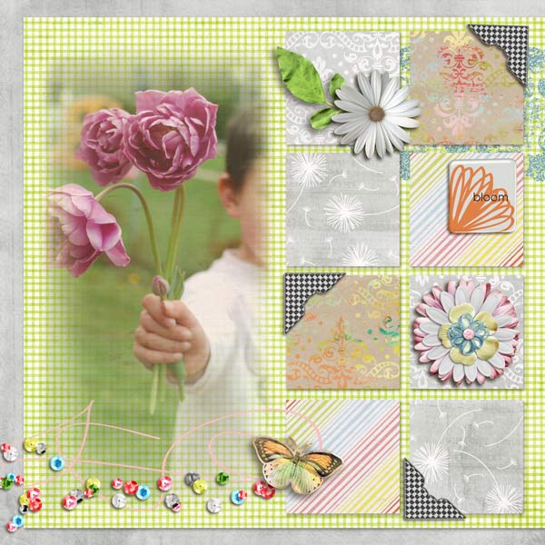 May Flowers