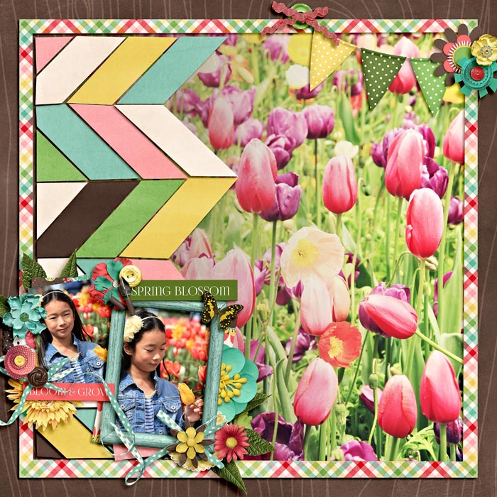 may flowers