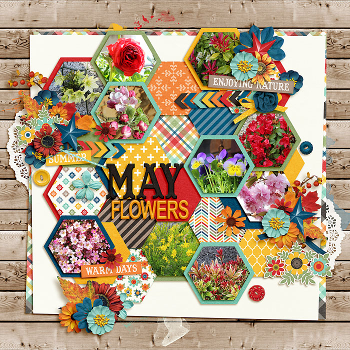 May Flowers