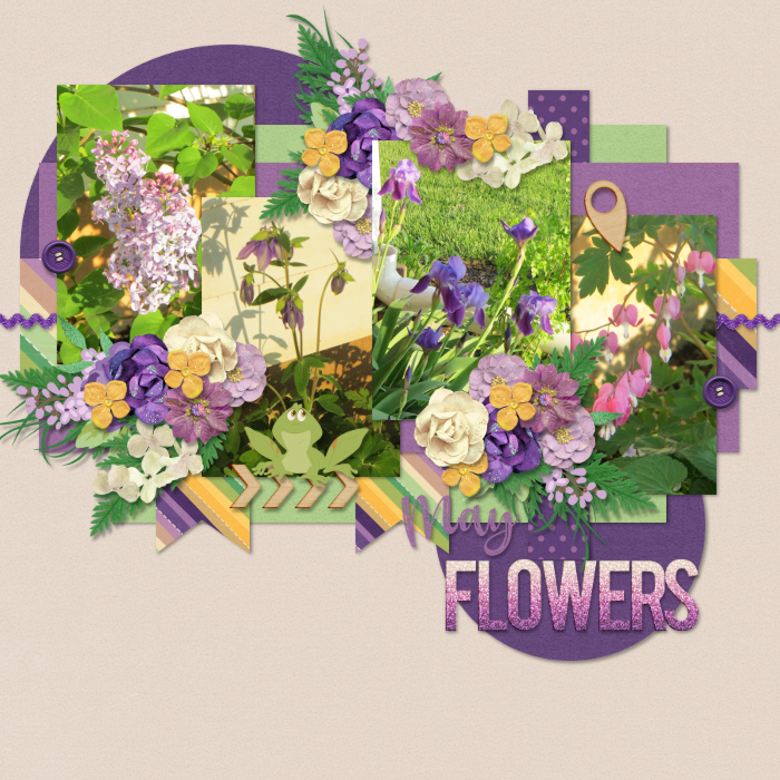 May Flowers