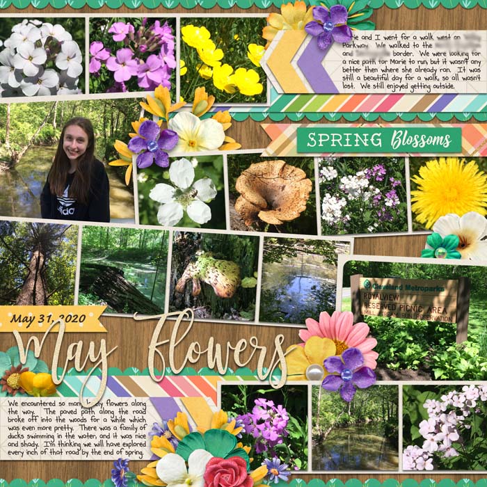 May Flowers