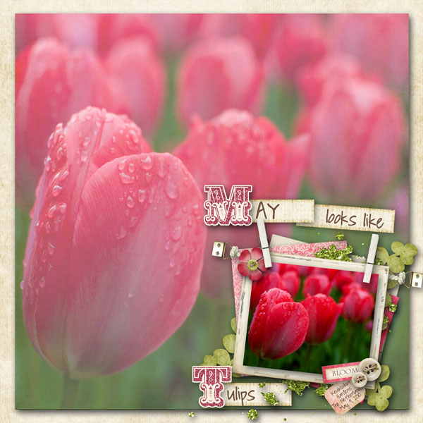 May Looks Like...