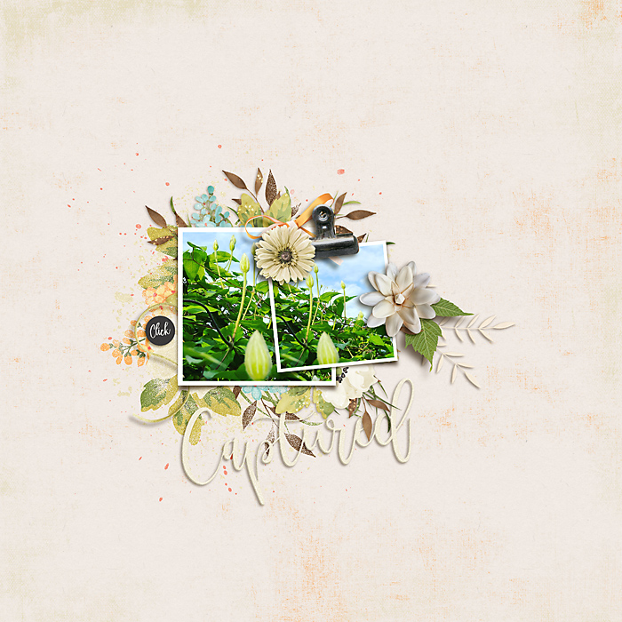 May Passport to Memories 2020: Challenge 7-Photography