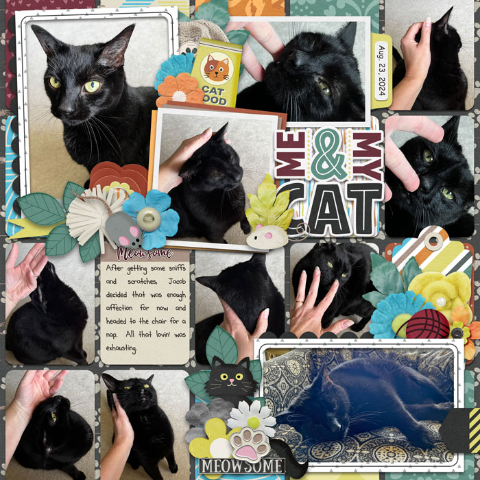 Me and My Cat