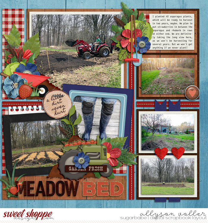 Meadow Bed day one right