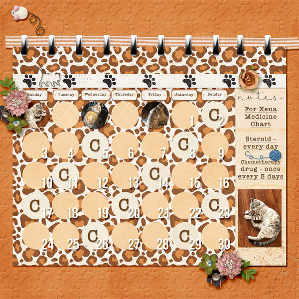 Medicine chart for Xena
