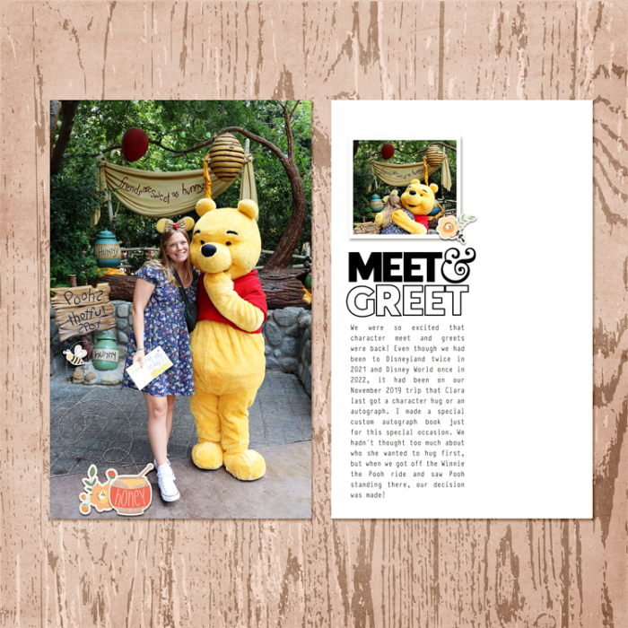 Meet and Greet