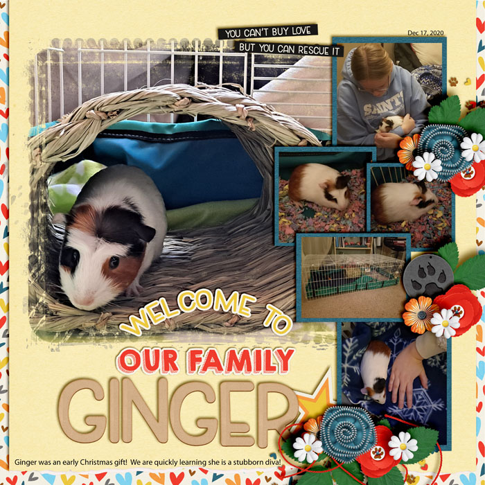 Meet Ginger
