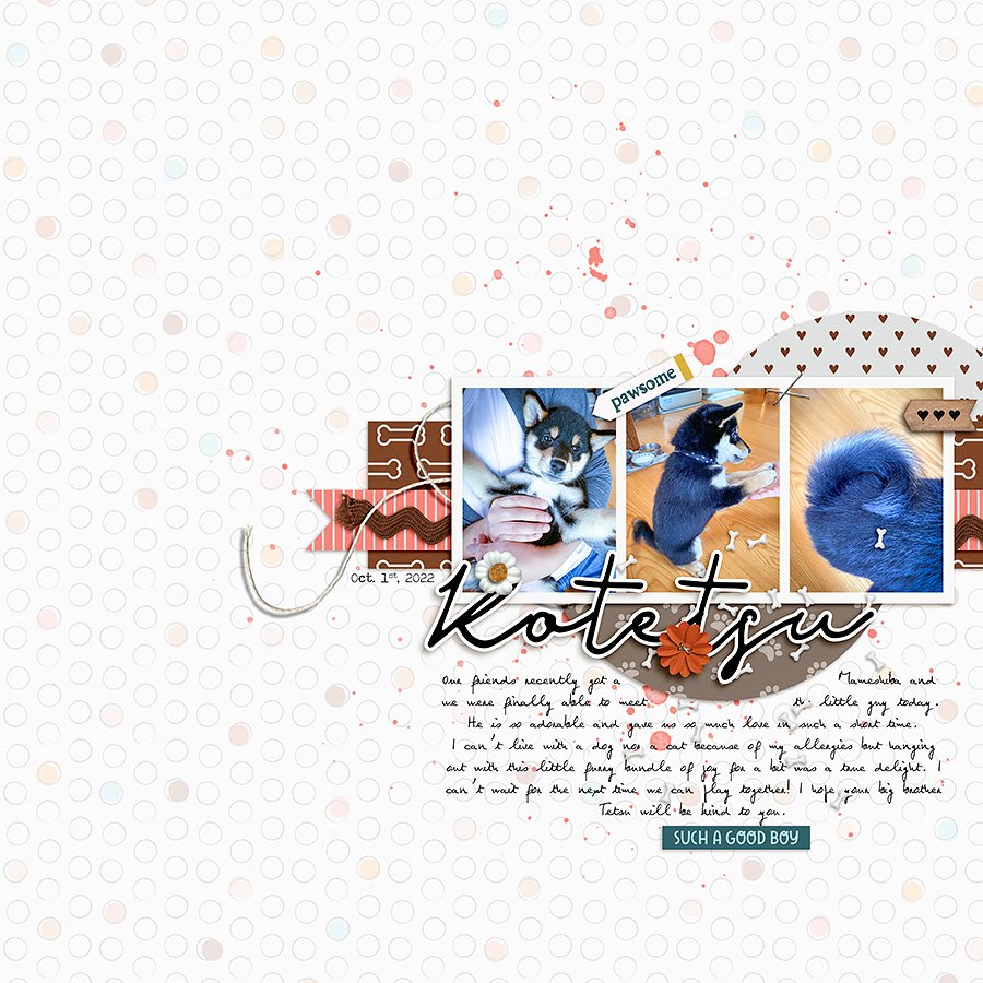 Meet Kotetsu