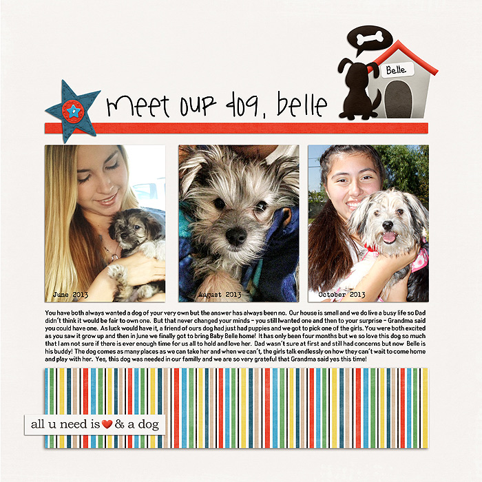 Meet Our Dog, Belle