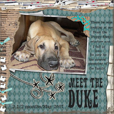 Meet the Duke
