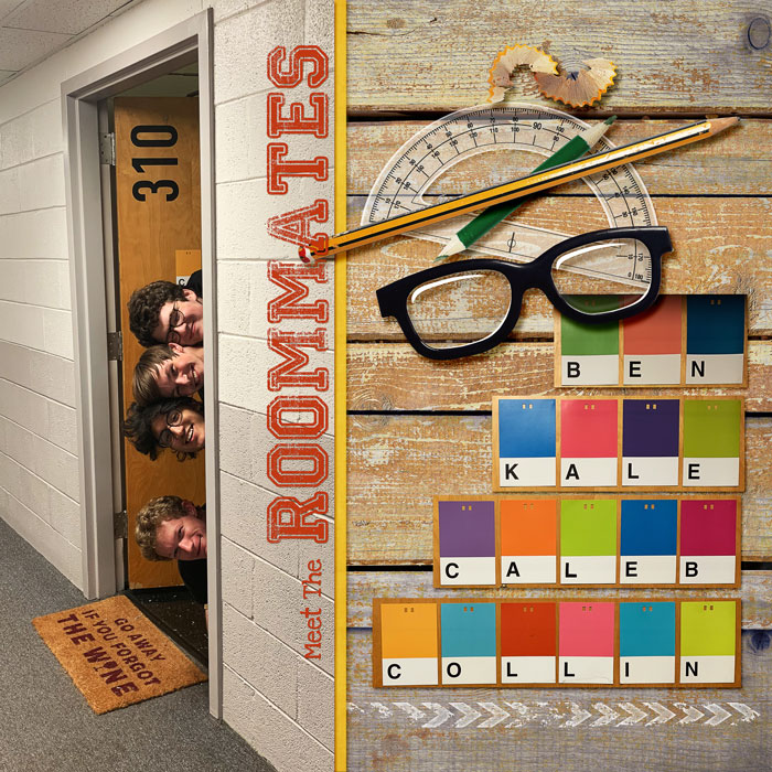 Meet The Roommates