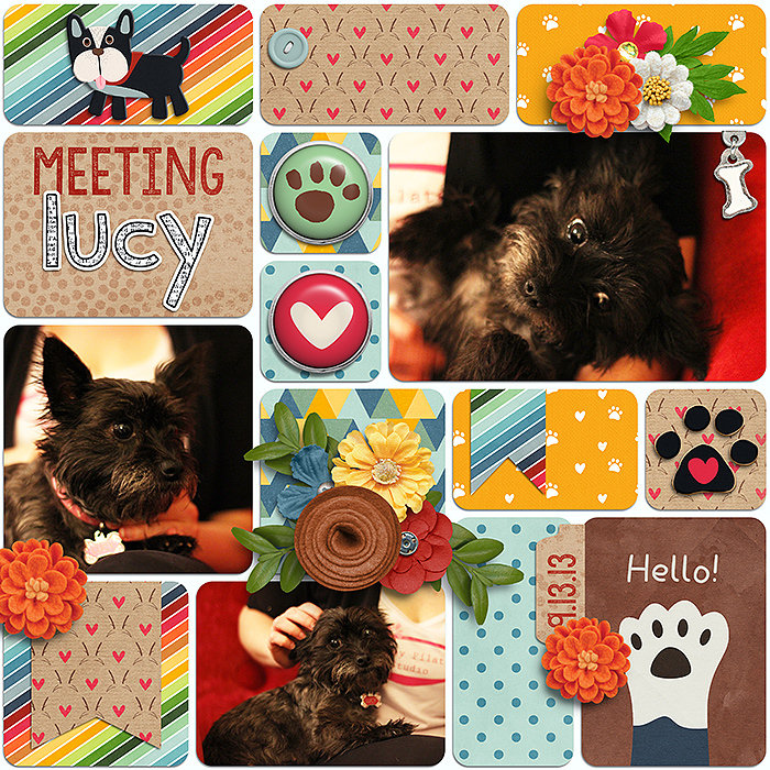 Meeting Lucy