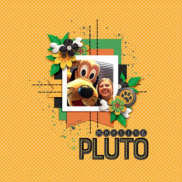 meeting Pluto