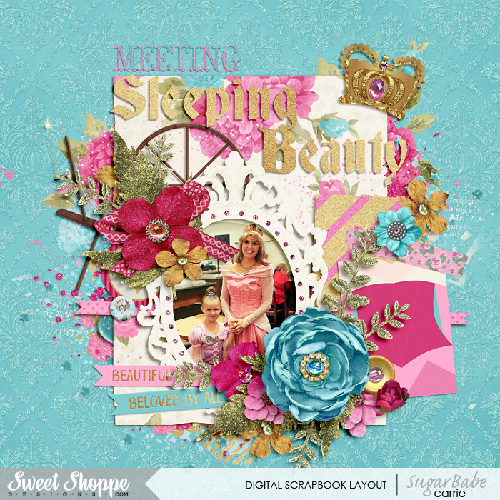 Meeting Sleeping Beauty