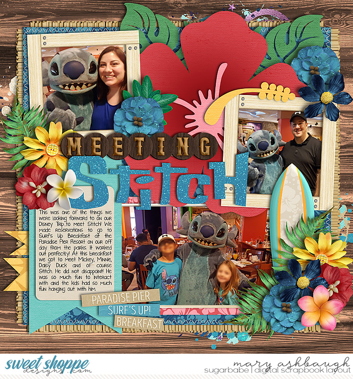 Meeting Stitch