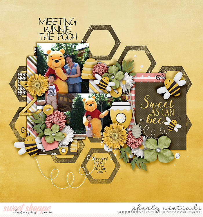 Meeting Winnie the Pooh