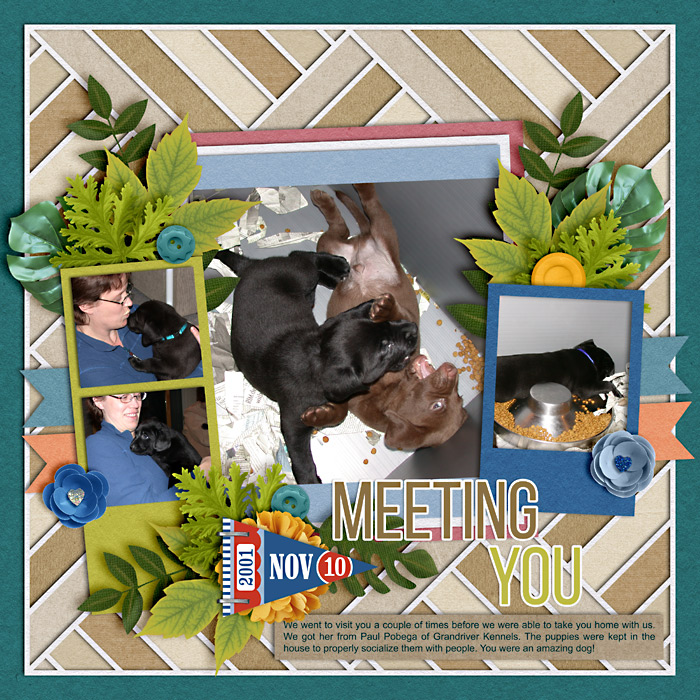 Meeting You