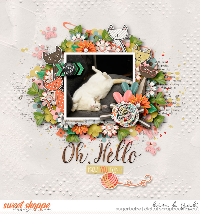 Meow you Doin'
