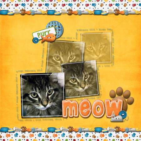 Meow
