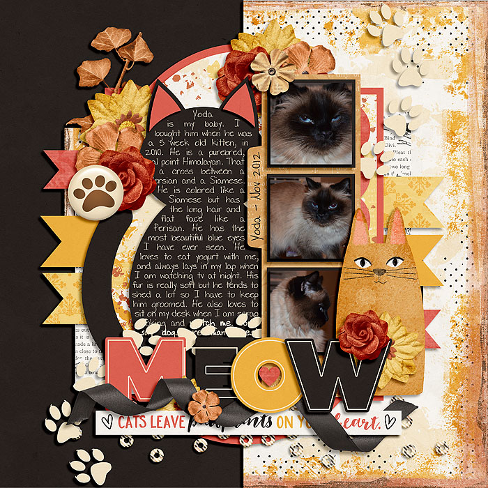 Meow